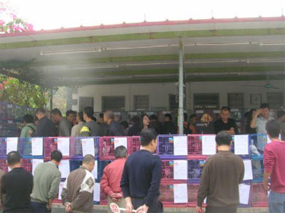 ���ݺ����������Ứ��(ͼ)