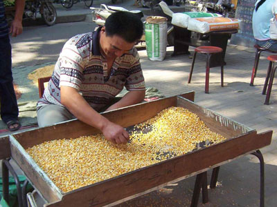 ֣�ݸ����г��������¼۸� 