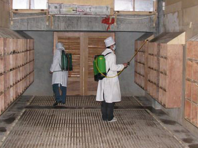 ����Ķ���������ʽ(ͼ)