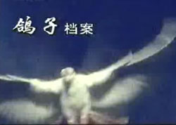 ��Ƶר�������ӵ���