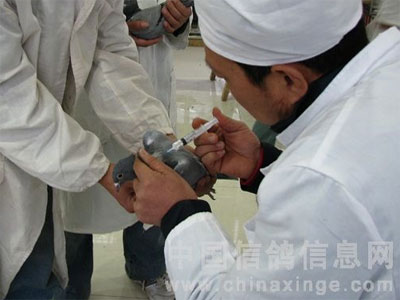 ����ǭԴ���������������������