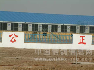 �����ۻ�̽������ӱ����ƹ���