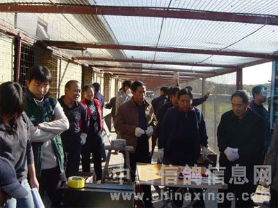 �ӱ���Թ������ͼƬ���� 