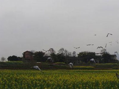 09年初训“花海大观园”现场花絮