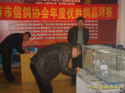 �������Ÿ�Э��Ʒ����ͼƬ��