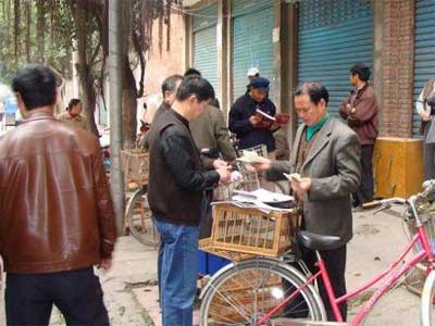 ��ͷ�潭�ֻᴺѵ����515վ���뻨��