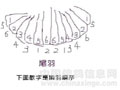�Ÿ뻻�𼰹�������