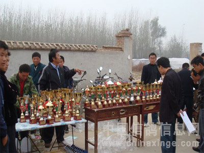 �����������������ֿ�����ͼ��