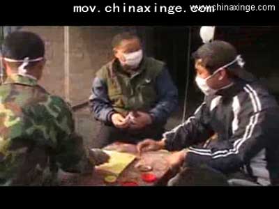 ���������ڹ���08�����»ع���Ƶר��