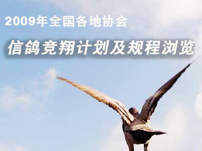 2009��ȫ������Э���Ÿ뾺��ƻ���������(������)