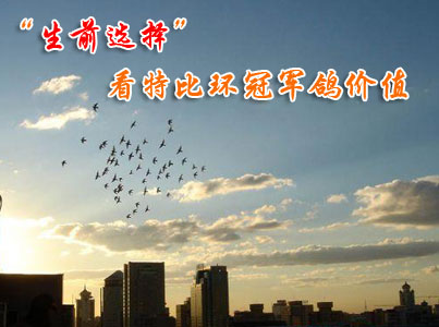 ����ǰѡ�񡱿��رȻ��ھ����ֵ