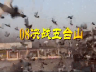 08������̨ɽ���������Ƶ����