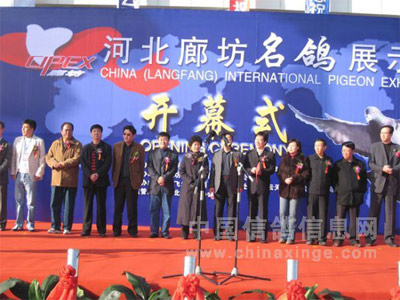 2008年第八届河北廊坊国际名鸽展示会隆重开幕