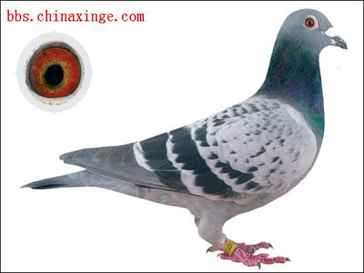 �¹�ǿ����������˹·������