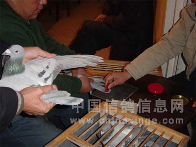 ����¡������Ԥ�������ֳ�ʵ¼