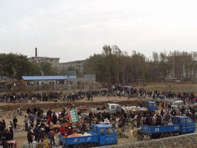 ���������и���(ͼ)