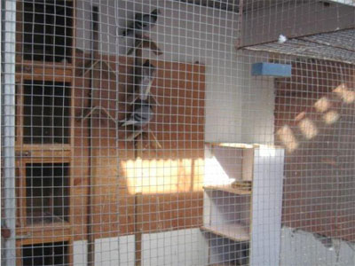 “陋舍”写真(图)