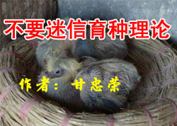 ��Ҫ������������