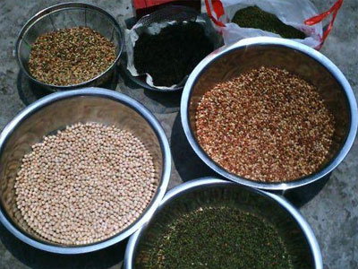 ���ĵ���(ͼ)