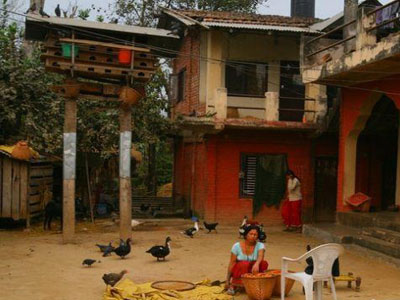 �������-�Ჴ������