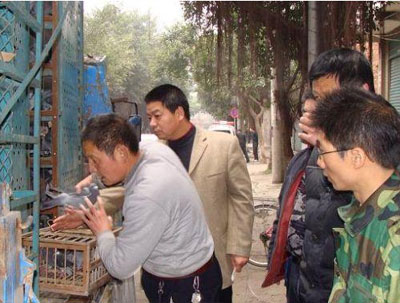 成铁火车头垫江分会春训屏锦花絮