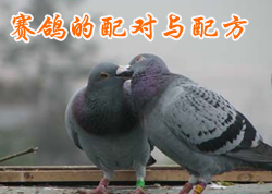 �����������䷽