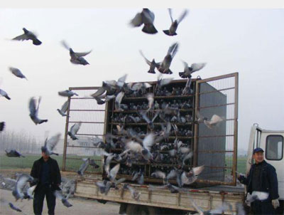 ƽ��ɽ�и�Э���������ʸ�վ(ͼ)