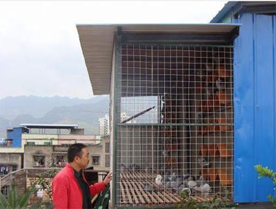 09�괺����ϣ�����ڶ�����