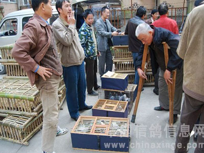 08�ꡰ���±������ϼ����(ͼ)