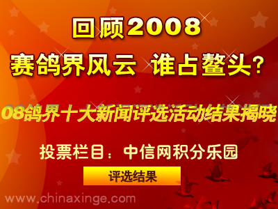 2008����ʮ���ȵ�������ѡ�������