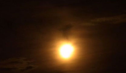 ��һ������ƫʳ�ɸ�����