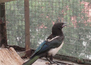 ���������ϲȵ