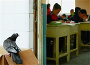 �����׸��� ÿ�հ������(ͼ)