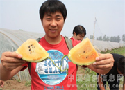 ����������ɶζ����(ͼ)