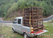 �ɶ���ͷ�潭�ֻ�09����ѵ(ͼ)