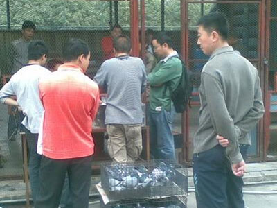 ���ڶ����صڶ���500������