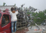 ��������������������ս����(ͼ)