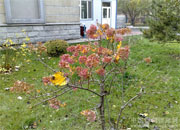 ���Ƕ�ͣ������(ͼ)