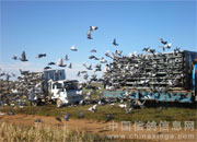 ǧ��ǧ�蹫��100����ѵ��ʵ��