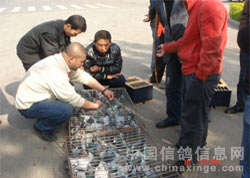 ����ʡ�ĵ��������ױڼ���(ͼ)