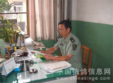 一位师职军医的养鸽生涯(图)