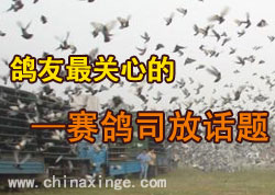 ר�⣺����˾�Ż���