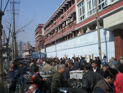 上海南市鸽市(图)