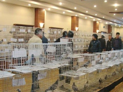 �������͹��ʹ�����������ʵ 