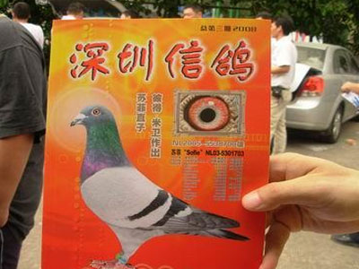 Ȣ��ʩ���γ��棨ͼ��