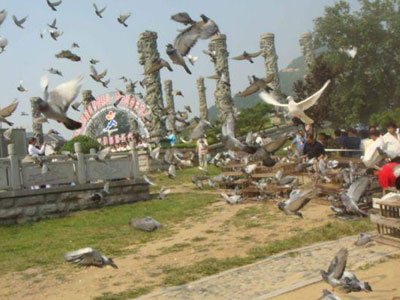 ̩ɽ���ʵ�ɽ�ڲʸ�ŷ�