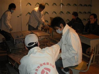 ������������Ĺر���ȫ��ʵ¼