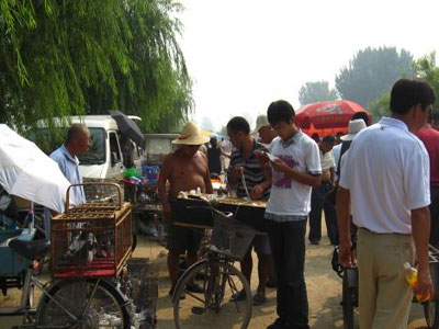 ������ͨ���������Ÿ�����Ӱ