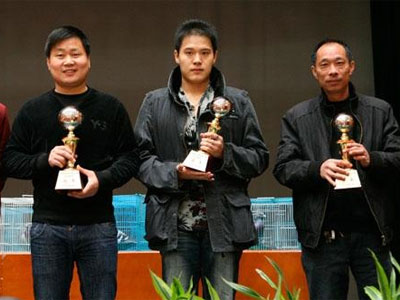 ̨�ݽ�Ȫ����佱������(ͼ)