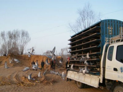 �����������빫����������ֳ�(ͼ)